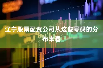 辽宁股票配资公司从这些号码的分布来看