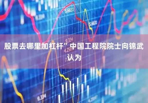 股票去哪里加杠杆”中国工程院院士向锦武认为