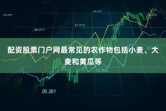 配资股票门户网最常见的农作物包括小麦、大麦和黄瓜等